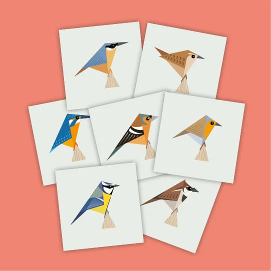 portfolio_vogels